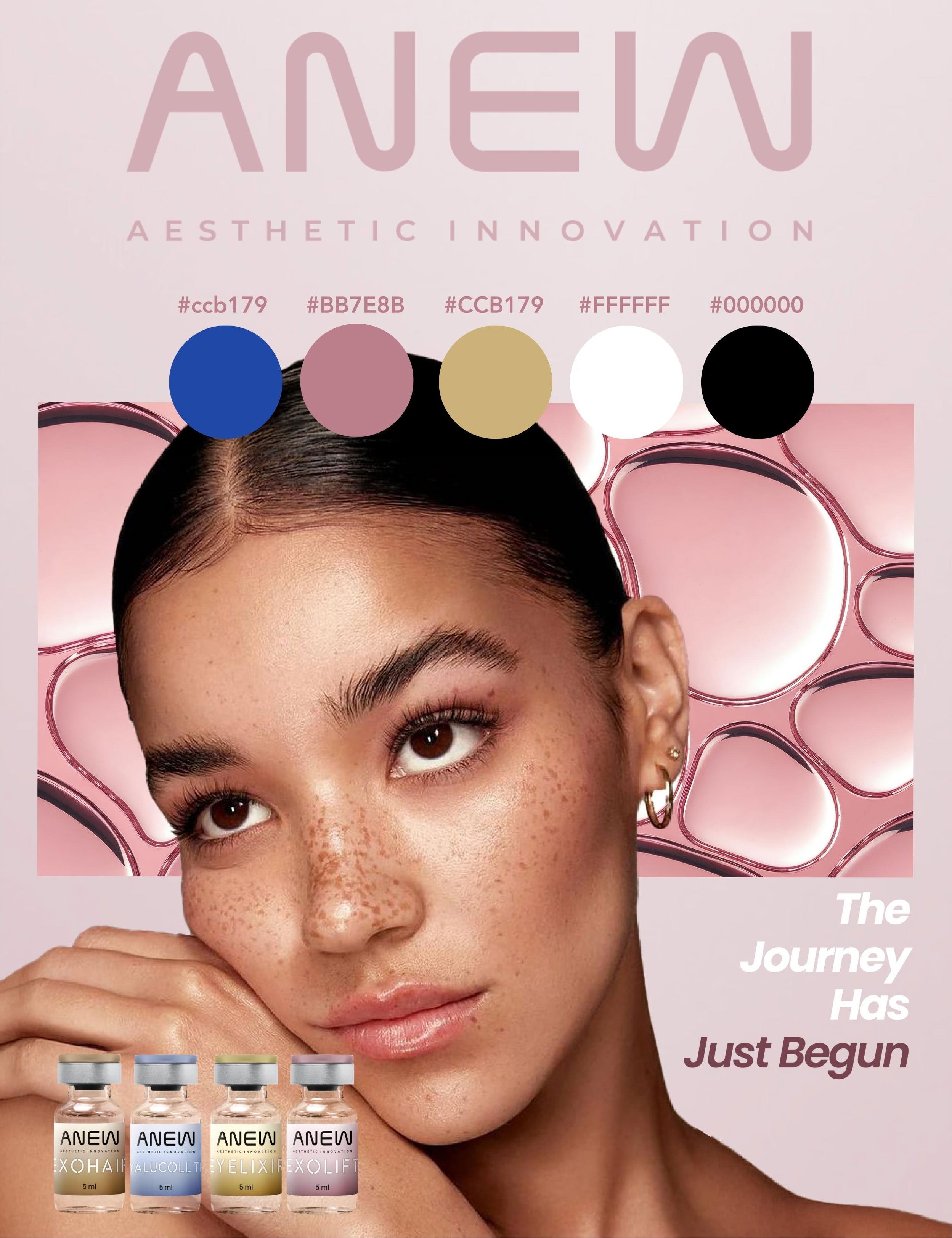 anew - Fullscreen Media 2