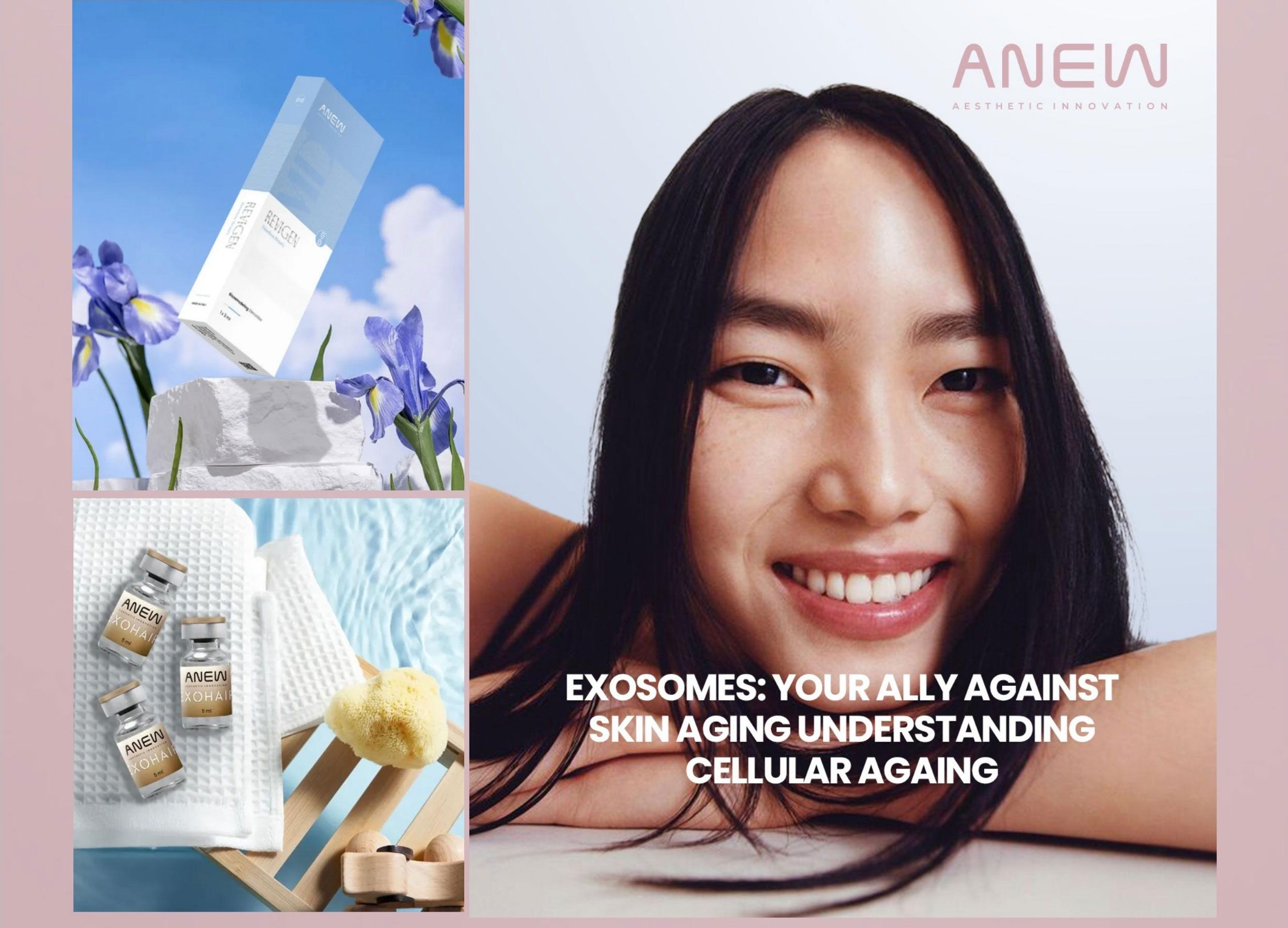 anew - Fullscreen Media 4