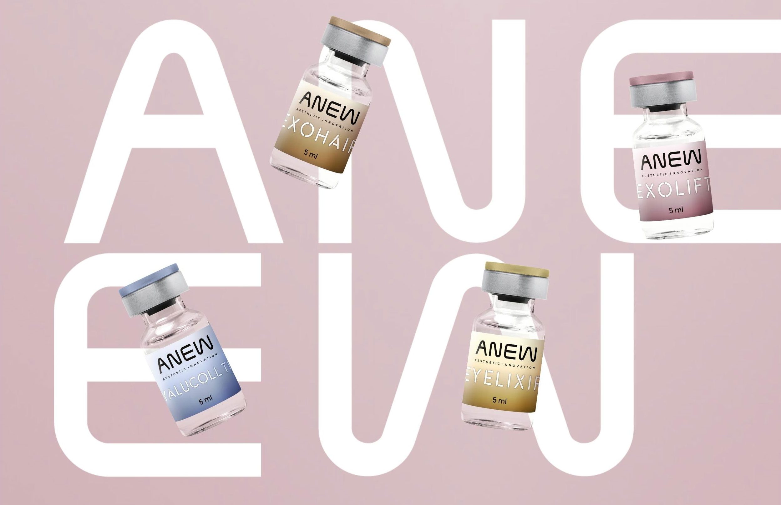 anew - Fullscreen Media 8