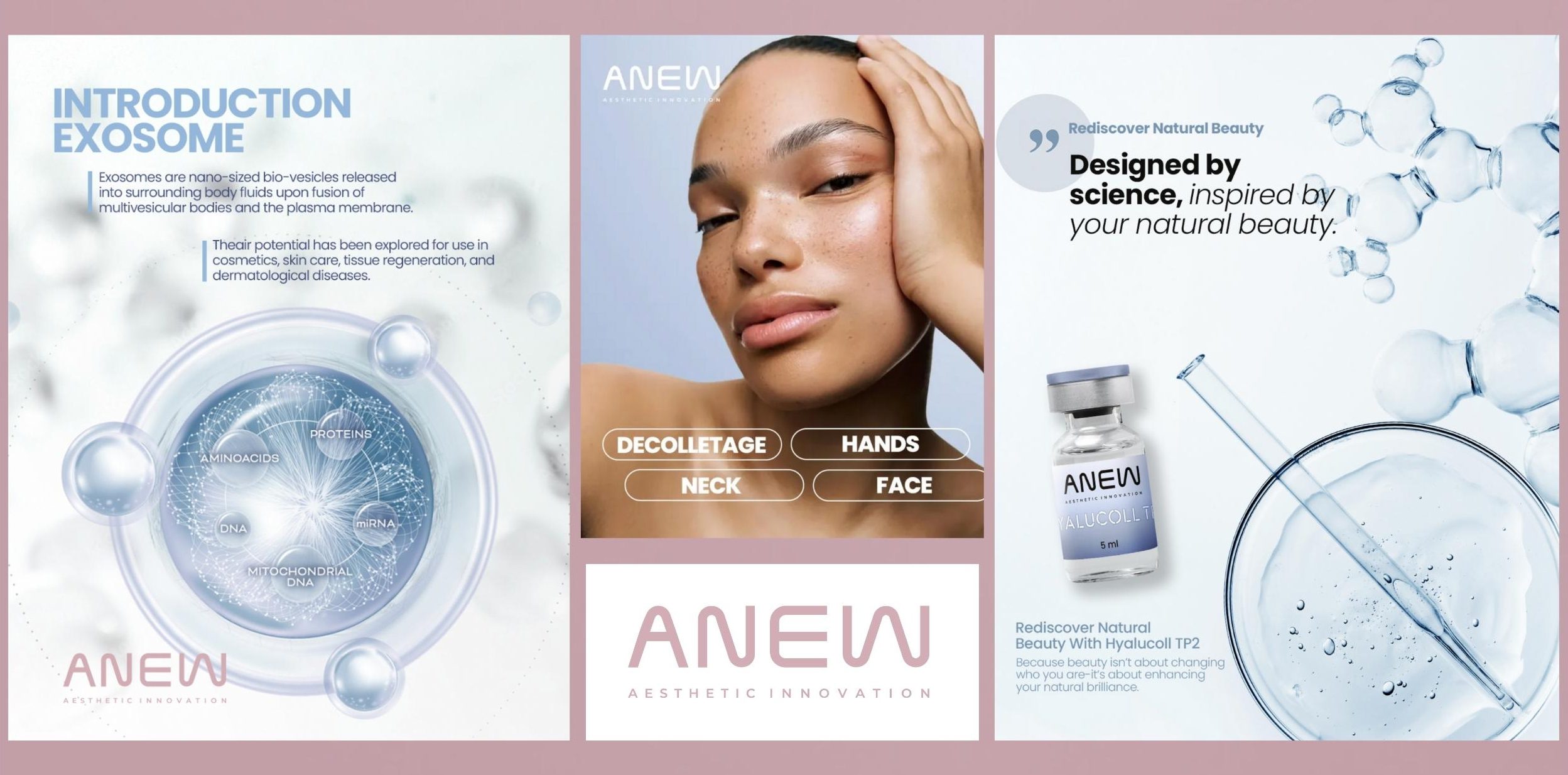 anew - Fullscreen Media 10