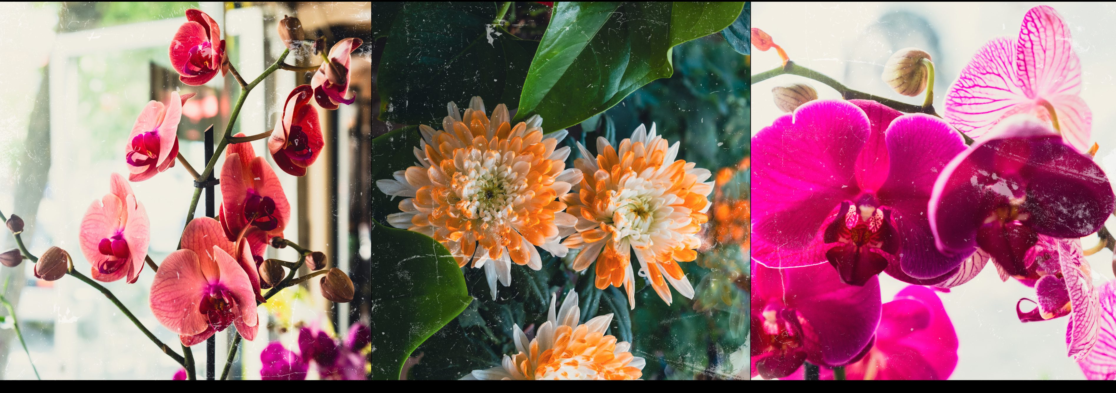 RUBBY Flowers - Fullscreen Media 7